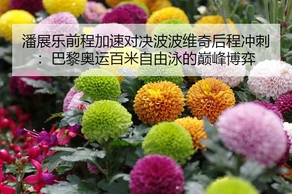 潘展乐前程加速对决波波维奇后程冲刺：巴黎奥运百米自由泳的巅峰博弈