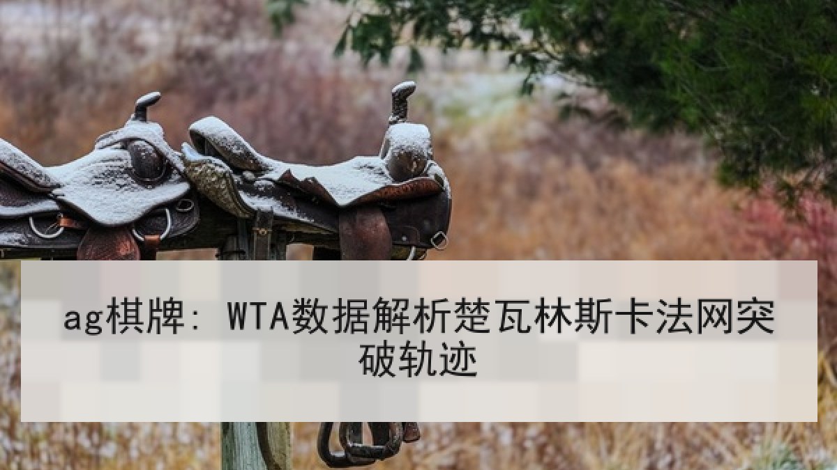 ag棋牌: WTA数据解析楚瓦林斯卡法网突破轨迹