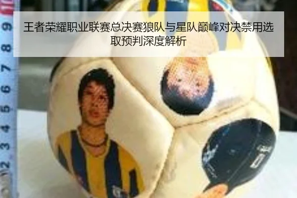 王者荣耀职业联赛总决赛狼队与星队巅峰对决禁用选取预判深度解析